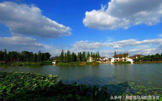中國(guó)千強(qiáng)鎮(zhèn)前十強(qiáng) 被江蘇 廣東兩省瓜分殆盡,浙江無(wú)一入圍