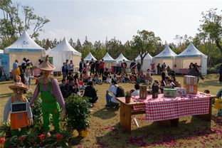 30天吸粉40萬，2019長興島郊野公園兩節(jié)圓滿閉幕，沙家浜旅游再掀熱潮