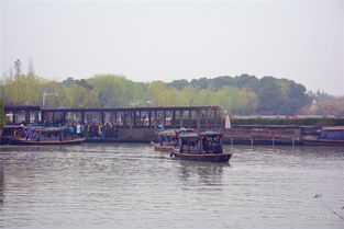 蘇州博越車友會(huì)常熟分會(huì)沙家浜踏青游 春風(fēng)十里，車友情深