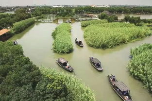 烽火蘆蕩，青春定向 2019首屆華僑城杯沙家浜紅色定向賽邀您啟程