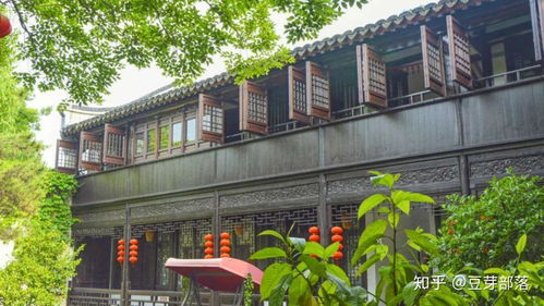 旅行Plog 風(fēng)起蘆葦蕩，心動沙家浜